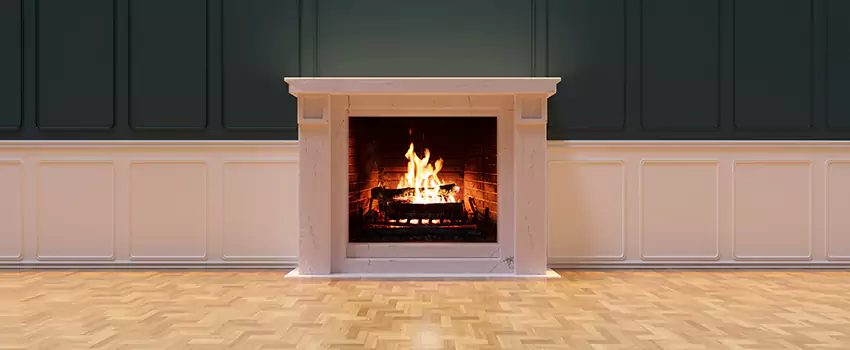 Napoleon Electric Fireplaces Inspection Service in New Hope, Minnesota